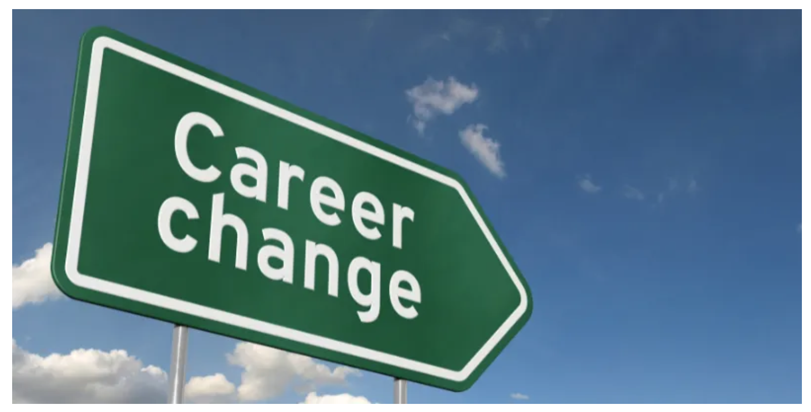 Big dollar resumes executive - Career Change 