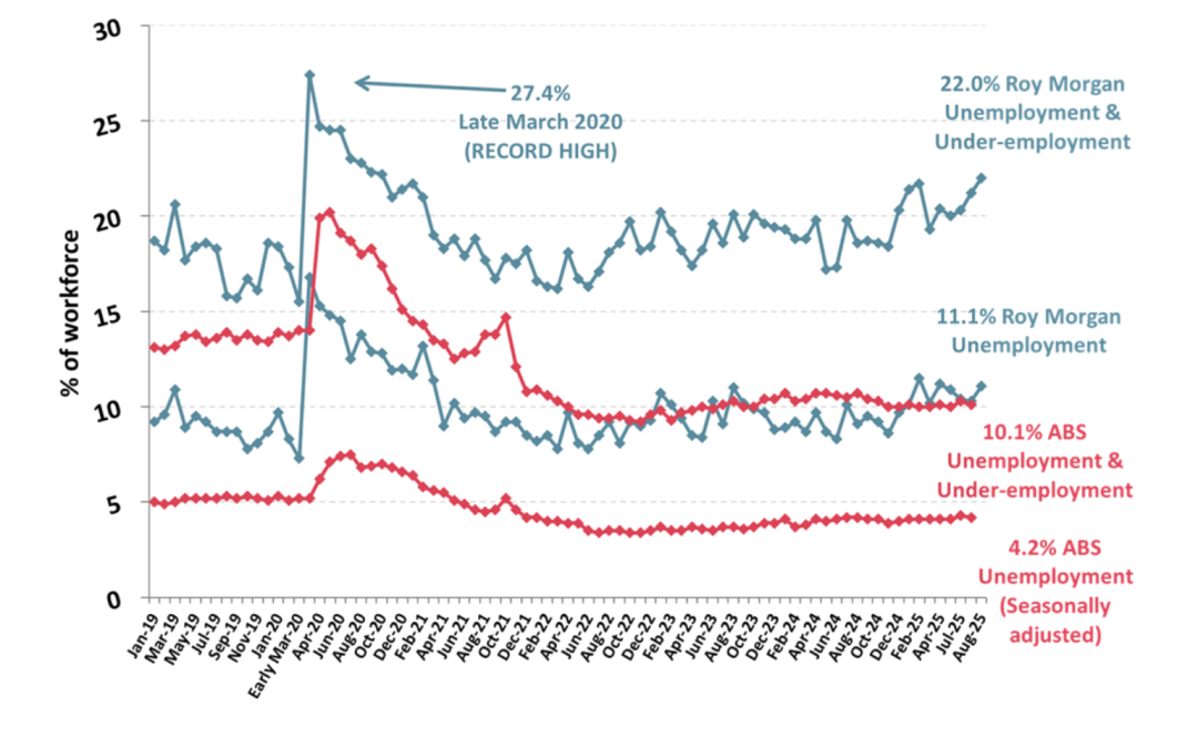 Morgan: August unemployment increased 0.8% to 11.1%