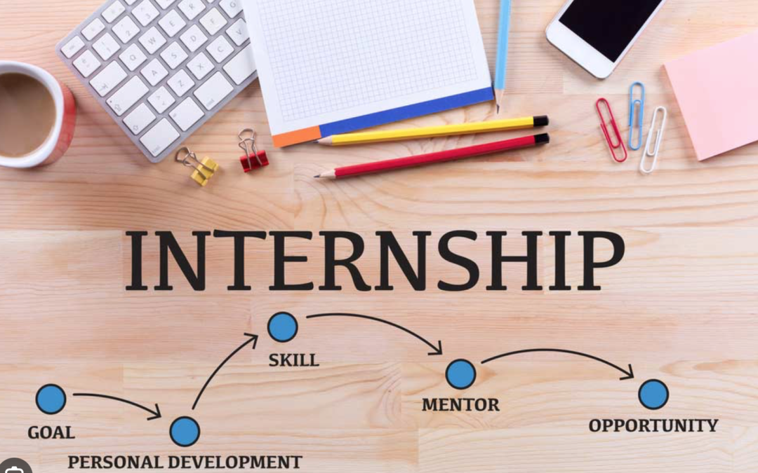 Graduates – do an internship, volunteer and/or a major study